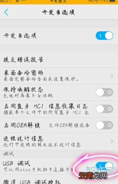vivoz5怎么打开usb调试