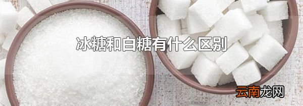 冰糖和白糖有什么区别