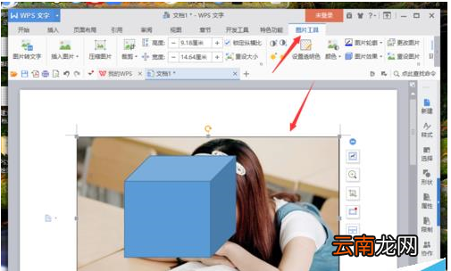 Wps中找到绘图工具栏具体操作方法