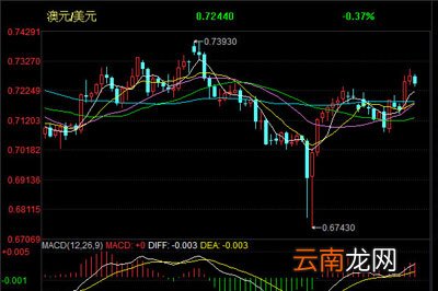 中原证券网上交易专业版外汇行情使用说明 教你轻松查看