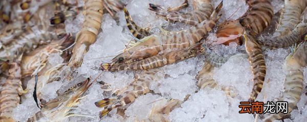 冻虾去除虾线的最快方法 冻虾如何去除虾线