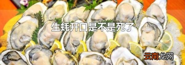 生蚝开口是不是死了