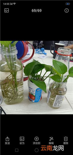 oppoa9x拍照怎么添加水印