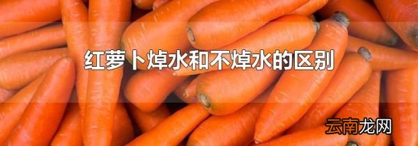 红萝卜焯水和不焯水的区别