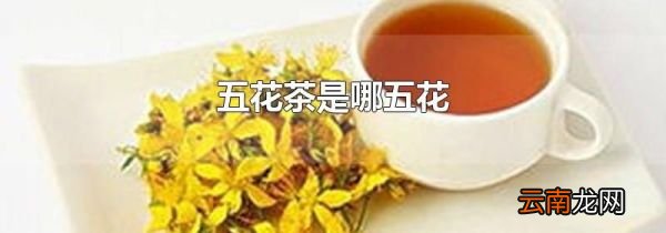 五花茶是哪五花