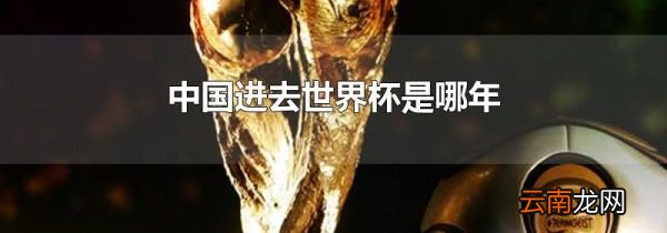 中国进去世界杯是哪年