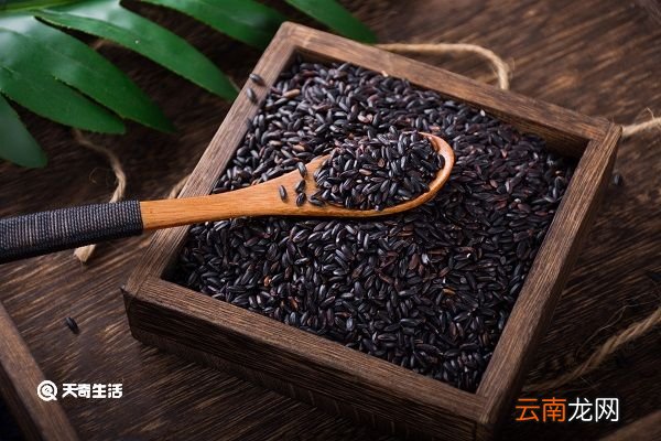 黑米对头发的功效与作用 黑米有助于长头发吗