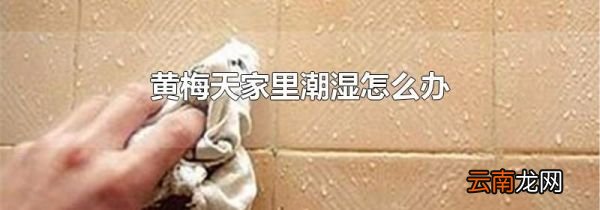 黄梅天家里潮湿怎么办
