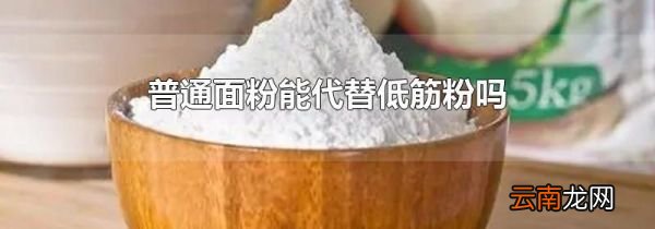 普通面粉能代替低筋粉吗