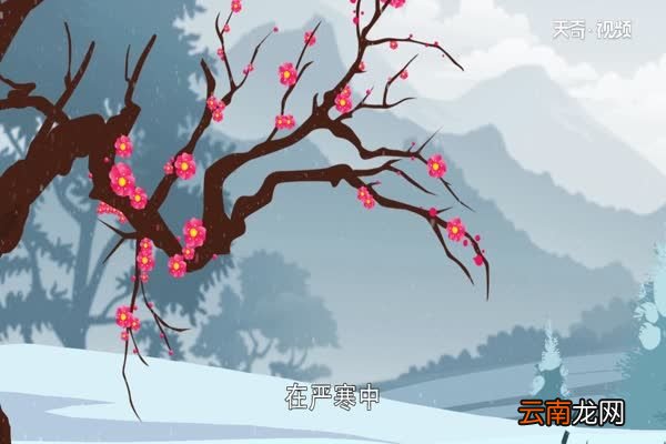 宝剑锋从磨砺出,梅花香自苦寒来是什么意思 宝剑锋从磨砺出,梅花香自苦寒来的含义