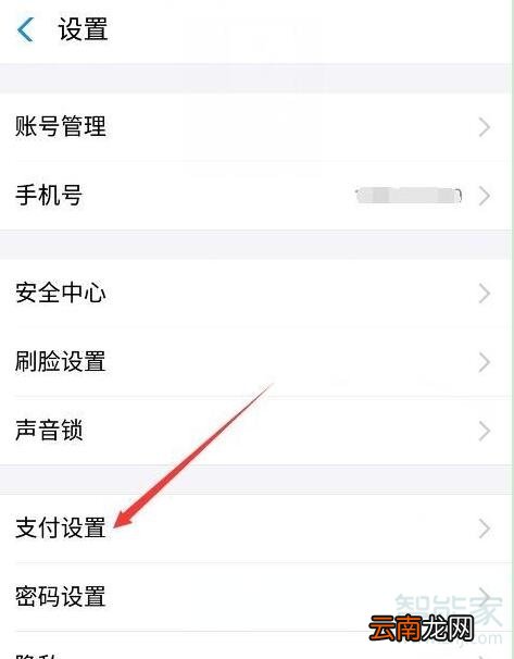 魅族16s怎么关闭支付宝免密支付