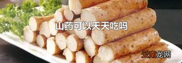 山药可以天天吃吗