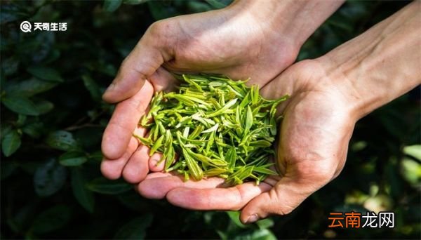 茶叶如何保存 茶叶的保存方法