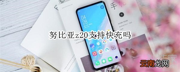 努比亚z20支持快充吗