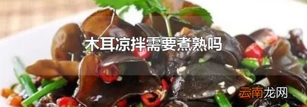 木耳凉拌需要煮熟吗