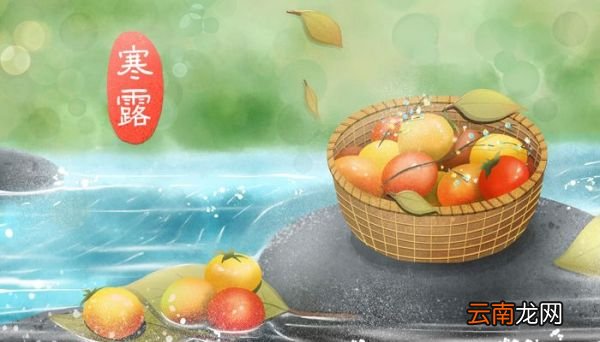 寒露节气的特点和风俗 寒露气候