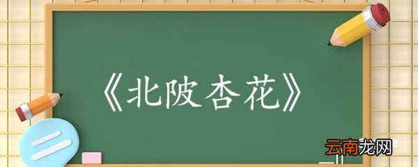 北陂杏花古诗翻译赏析 北陂杏花古诗的翻译赏析