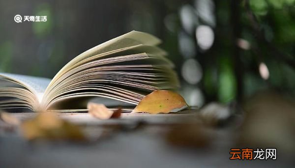 北陂杏花古诗翻译赏析 北陂杏花古诗的翻译赏析