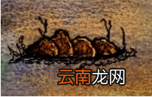 一小时人生土窑怎么做 土窑制作配方攻略分享