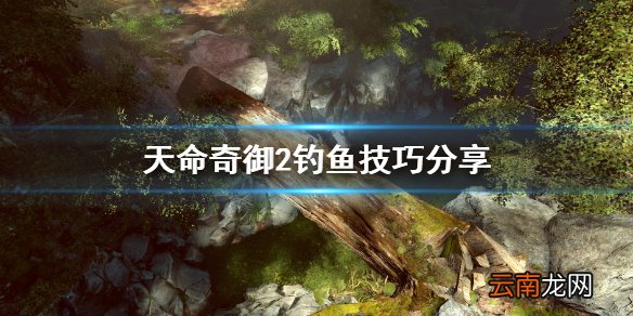 天命奇御2怎么钓鱼 天命奇御2钓鱼技巧分享