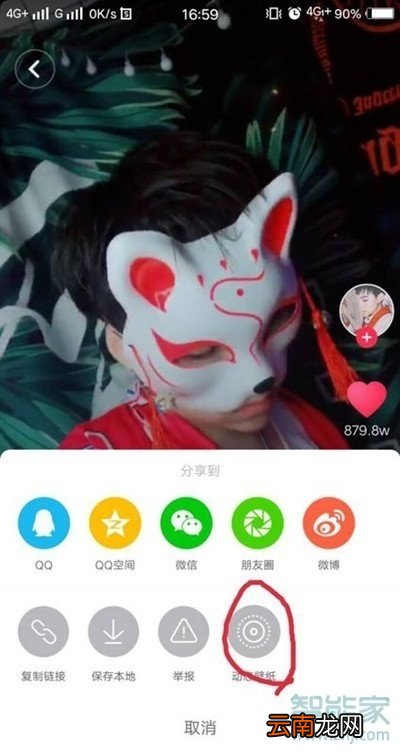 vivoz5怎么设置抖音动态壁纸