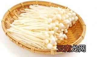 凉拌金针菇粉丝家常做法 凉拌金针菇粉丝怎么做