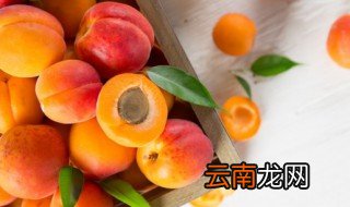 女人梦见成熟的黄杏子 女人梦见成熟的黄杏子是什么意思