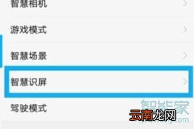 vivoz5怎么开启智慧识屏