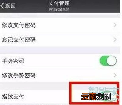 vivoz5微信怎么开启指纹支付