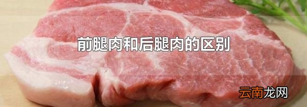 前腿肉和后腿肉的区别
