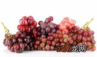葡萄怎么种才不酸 葡萄怎么种才不甜