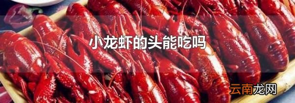 小龙虾的头能吃吗