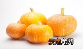 南瓜糊的制作方法 怎么做南瓜糊