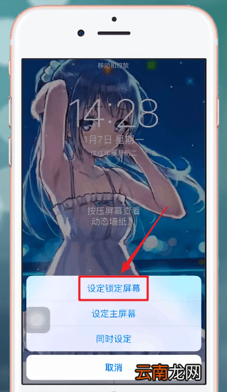 熊猫动态壁纸APP设置锁屏具体操作流