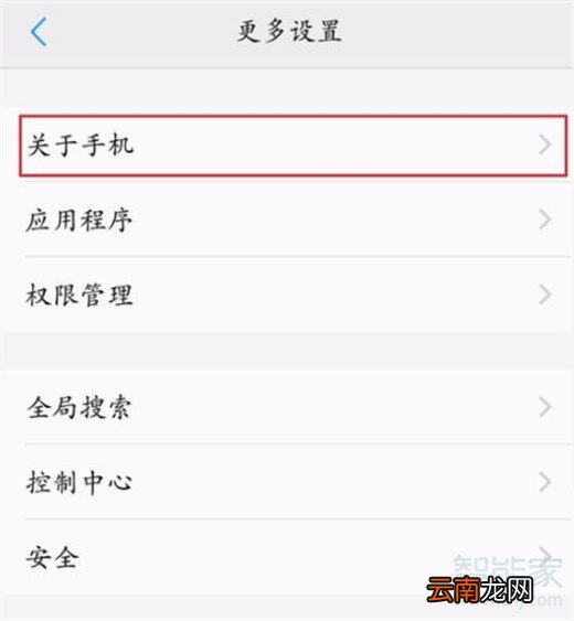 iqooneo怎么打开开发者选项