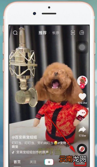 抖音app出现别人看不到详细原因介绍