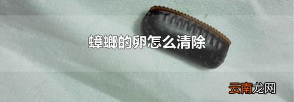 蟑螂的卵怎么清除