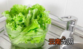 生菜怎么种才长得快 生菜怎么种长的快