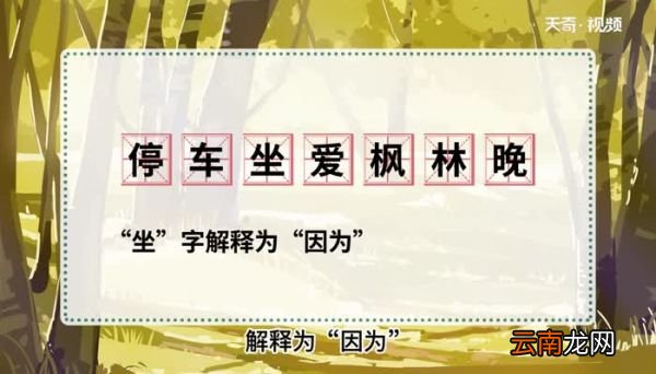 停车坐车爱枫林晚诗句的意思 停车坐车爱枫林晚诗句什么意思