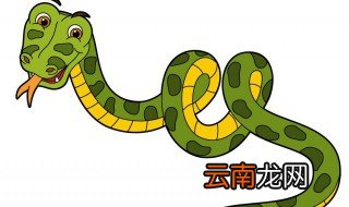 梦见两条蛇 梦见两条蛇含义是什么