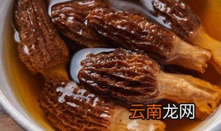 可泡发的食物都有哪些 可泡发的食物介绍