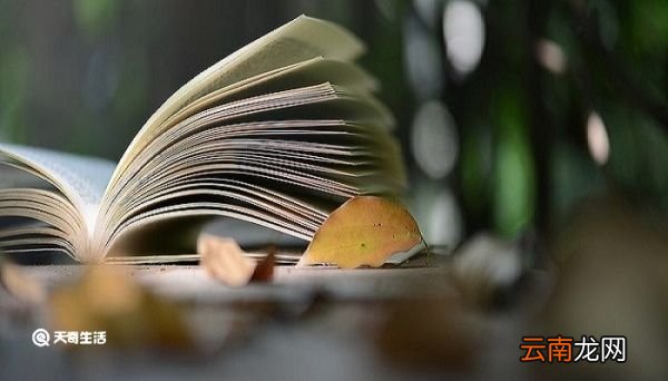 鲁滨逊是个什么样的人 鲁滨逊是一个什么样的形象