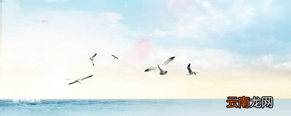 鲁滨逊是个什么样的人 鲁滨逊是一个什么样的形象