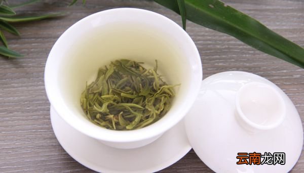 普洱茶属于 普洱茶属于哪一种茶类