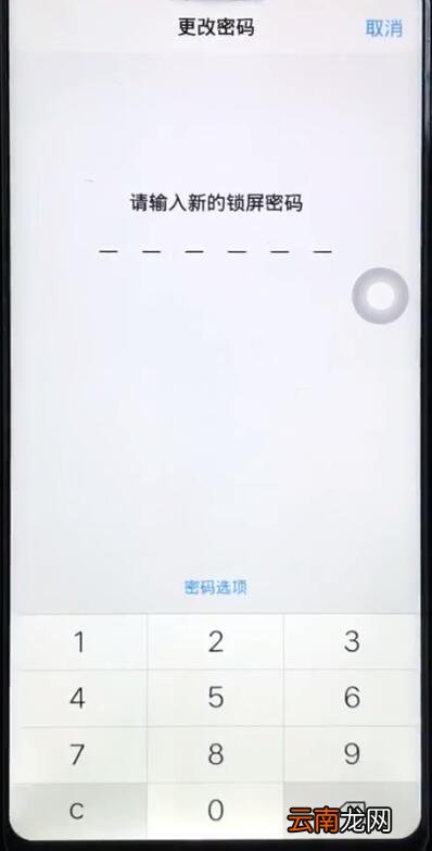 vivoz5怎么修改锁屏密码