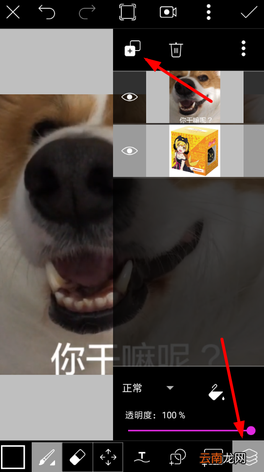 使用picsart制作出gif图片具体操作方法
