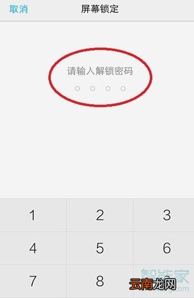 vivoz5怎么退出安全模式