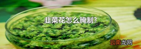 韭菜花怎么腌制?