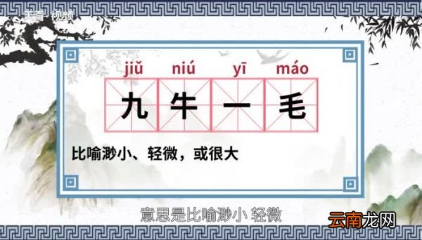 九牛一毛的意思 九牛一毛的出处
