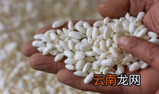 大米花的制作方法 大米花做法